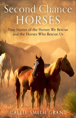 Kone druhej šance: a kone, ktoré zachraňujú nás: Pravdivé príbehy koní, ktoré zachraňujeme, a koní, ktoré zachraňujú nás - Second-Chance Horses: True Stories of the Horses We Rescue and the Horses Who Rescue Us