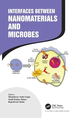 Rozhrania medzi nanomateriálmi a mikróbmi - Interfaces Between Nanomaterials and Microbes