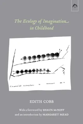 Ekológia predstavivosti v detstve - The Ecology of Imagination in Childhood