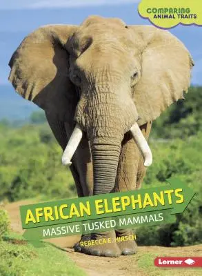Africké slony: Mohutné cicavce s kýlou - African Elephants: Massive Tusked Mammals