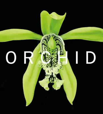 Orchidea: Marie Selby Botanical Gardens - Orchid: Marie Selby Botanical Gardens