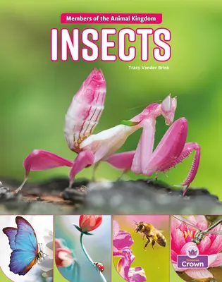 Hmyz - Insects