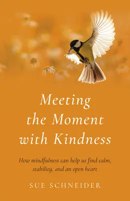 V ústrety okamihu s láskavosťou: Ako nám môže všímavosť pomôcť nájsť pokoj, stabilitu a otvorené srdce - Meeting the Moment with Kindness: How Mindfulness Can Help Us Find Calm, Stability, and an Open Heart