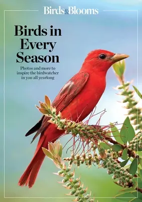 Vtáky a kvety: Vtáky v každom ročnom období: Vychutnajte si operených letcov na svojom dvore počas celého roka - Birds & Blooms Birds in Every Season: Cherish the Feathered Flyers in Your Yard All Year Long