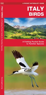 Vtáky Talianska - Skladací vreckový sprievodca známymi druhmi - Italy Birds - A Folding Pocket Guide to Familiar Species