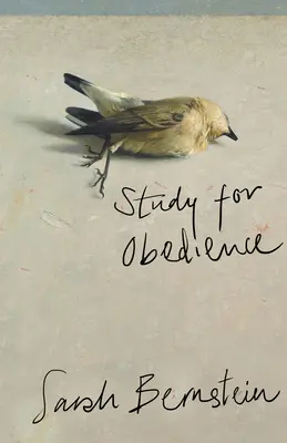 Štúdia poslušnosti - Study for Obedience