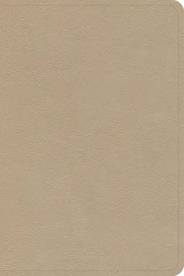 CSB Compact Reference Bible s veľkou tlačou, zlatá koža Leathertouch - CSB Large Print Compact Reference Bible, Gold Leathertouch