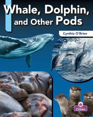 Veľryby, delfíny a iné druhy - Whale, Dolphin, and Other Pods