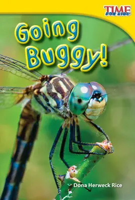 Do toho s chrobákmi! - Going Buggy!