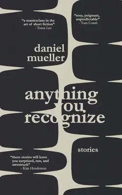 Anything You Recognize: Príbehy - Anything You Recognize: Stories