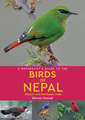 Sprievodca prírodovedca po vtákoch Nepálu - A Naturalist's Guide to the Birds of Nepal
