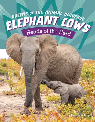 Slonie kravy: Hlavy stáda - Elephant Cows: Heads of the Herd