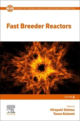 Rýchle reaktory chladené sodíkom - Sodium-cooled Fast Reactors