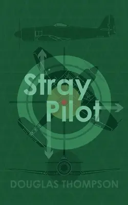 Zatúlaný pilot - Stray Pilot