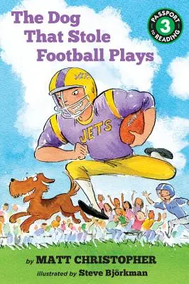 Pes, ktorý ukradol futbalové zápasy - The Dog That Stole Football Plays