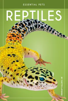 Plazy - Reptiles
