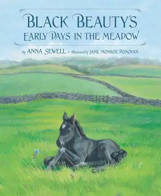 Čierna kráska v prvých dňoch na lúke - Black Beauty's Early Days in the Meadow