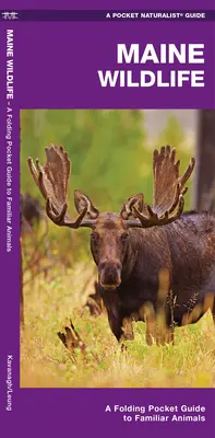 Divoká príroda štátu Maine: Skladací vreckový sprievodca známymi druhmi - Maine Wildlife: A Folding Pocket Guide to Familiar Species