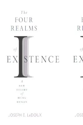 Štyri sféry existencie: Nová teória ľudského bytia - The Four Realms of Existence: A New Theory of Being Human