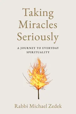 Zázraky vážne: Cesta ku každodennej spiritualite - Taking Miracles Seriously: A Journey to Everyday Spirituality