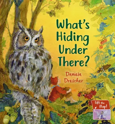 Čo sa to tam skrýva? Kúzelná knižka so zdvíhacími klapkami - What's Hiding Under There?: A Magical Lift-The-Flap Book