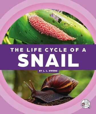 Životný cyklus slimáka - The Life Cycle of a Snail