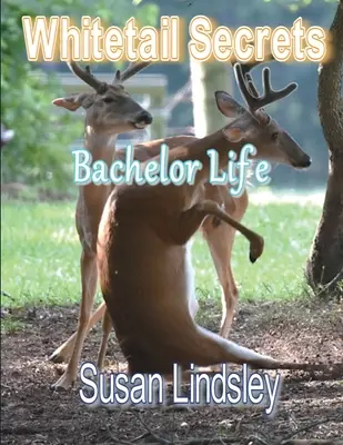 Whitetail Secrets: Život starých mládencov - Whitetail Secrets: Bachelor Life