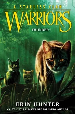 Bojovníci: Klan bez hviezd #4: Hrom - Warriors: A Starless Clan #4: Thunder