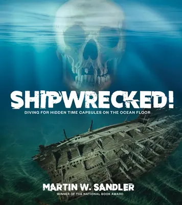 Shipwrecked!: Potápanie po skrytých časových kapsulách na dne oceánu - Shipwrecked!: Diving for Hidden Time Capsules on the Ocean Floor