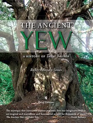 Starobylý tis - história Taxus Baccata - Ancient Yew - A History of Taxus Baccata