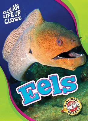 Úhory - Eels