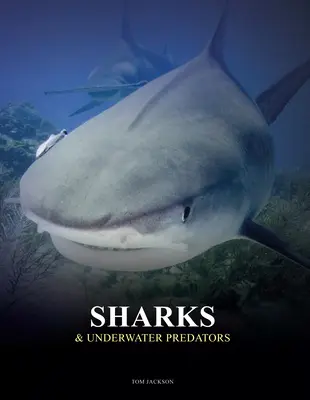 Žraloky a podmorskí dravci - Sharks & Underwater Predators