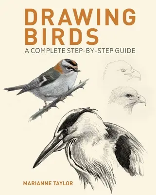 Kreslenie vtákov: Kompletný sprievodca krok za krokom - Drawing Birds: A Complete Step-By-Step Guide