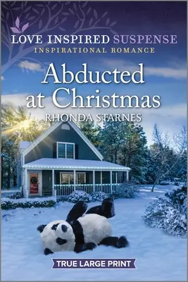 Unesený na Vianoce - Abducted at Christmas
