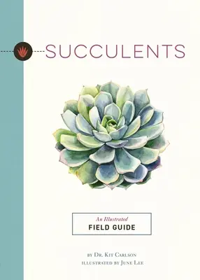 Sukulenty: Ilustrovaný terénny sprievodca - Succulents: An Illustrated Field Guide