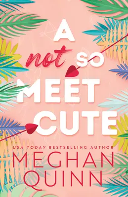A nie je to tak milé stretnutie - A Not So Meet Cute