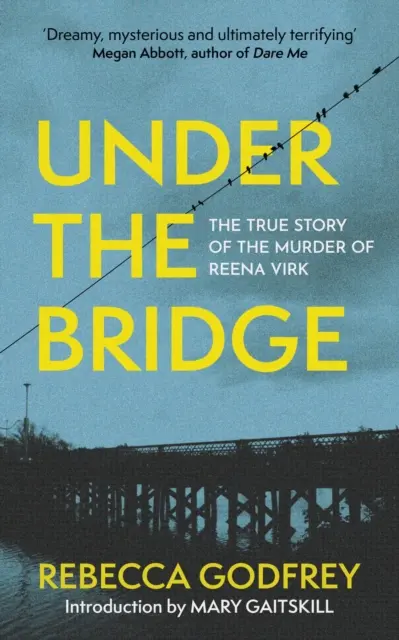 Pod mostom - Skutočný príbeh vraždy Reeny Virk - Under the Bridge - The True Story of the Murder of Reena Virk