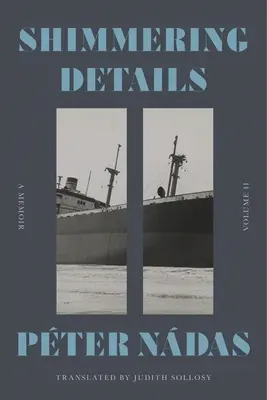 Trblietavé detaily, II. diel: Spomienky - Shimmering Details, Volume II: A Memoir