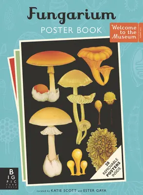 Kniha plagátov Fungarium - Fungarium Poster Book