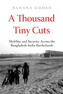 Tisíc drobných rezov: Mobilita a bezpečnosť na bangladéšsko-indickom pohraničí, zväzok 10 - A Thousand Tiny Cuts: Mobility and Security Across the Bangladesh-India Borderlands Volume 10