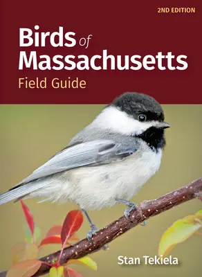 Vtáky štátu Massachusetts: terénny sprievodca - Birds of Massachusetts Field Guide