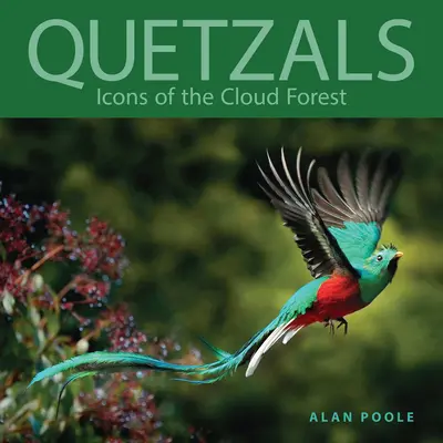 Quetzals: Ikony oblačného lesa - Quetzals: Icons of the Cloud Forest