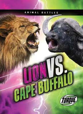 Lev vs. byvol kapský - Lion vs. Cape Buffalo