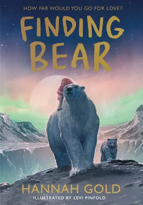 Hľadanie medveďa - Finding Bear