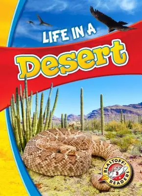 Život v púšti - Life in a Desert