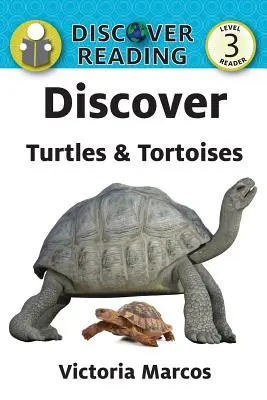 Objavte korytnačky a korytnačky - Discover Turtles & Tortoises