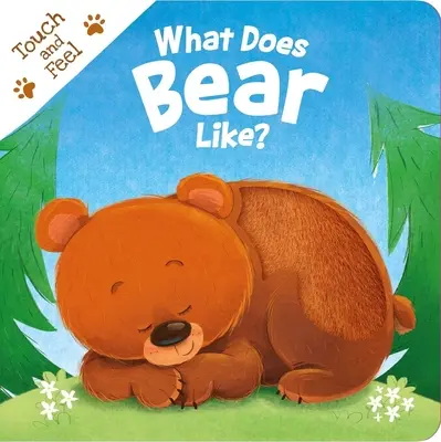 Čo má rád medveď?: Ako sa medveď cíti: Kniha na dotyk a ohmatanie - What Does Bear Like?: Touch & Feel Board Book