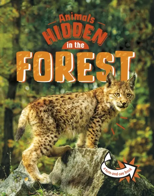 Zvieratá ukryté v lese - Animals Hidden in the Forest