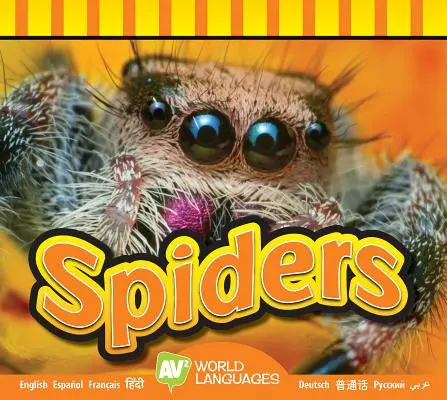 Pavúky - Spiders