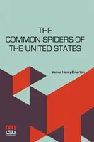 Bežné pavúky Spojených štátov - The Common Spiders Of The United States